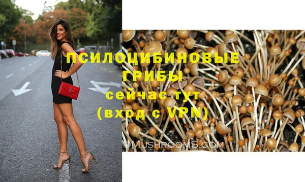 прущая мука Саяногорск