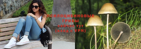 молекула духа Краснотурьинск