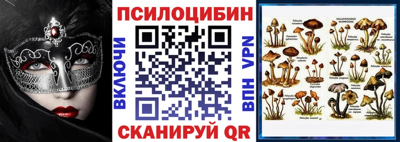 Псилоцибиновые грибы Psilocybe  Котово 