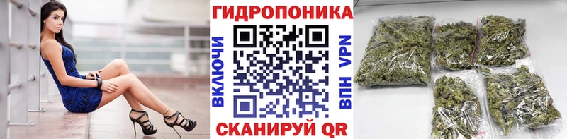 как найти закладки сайты даркнета как зайти Шишки марихуана Bruce Banner Котово
